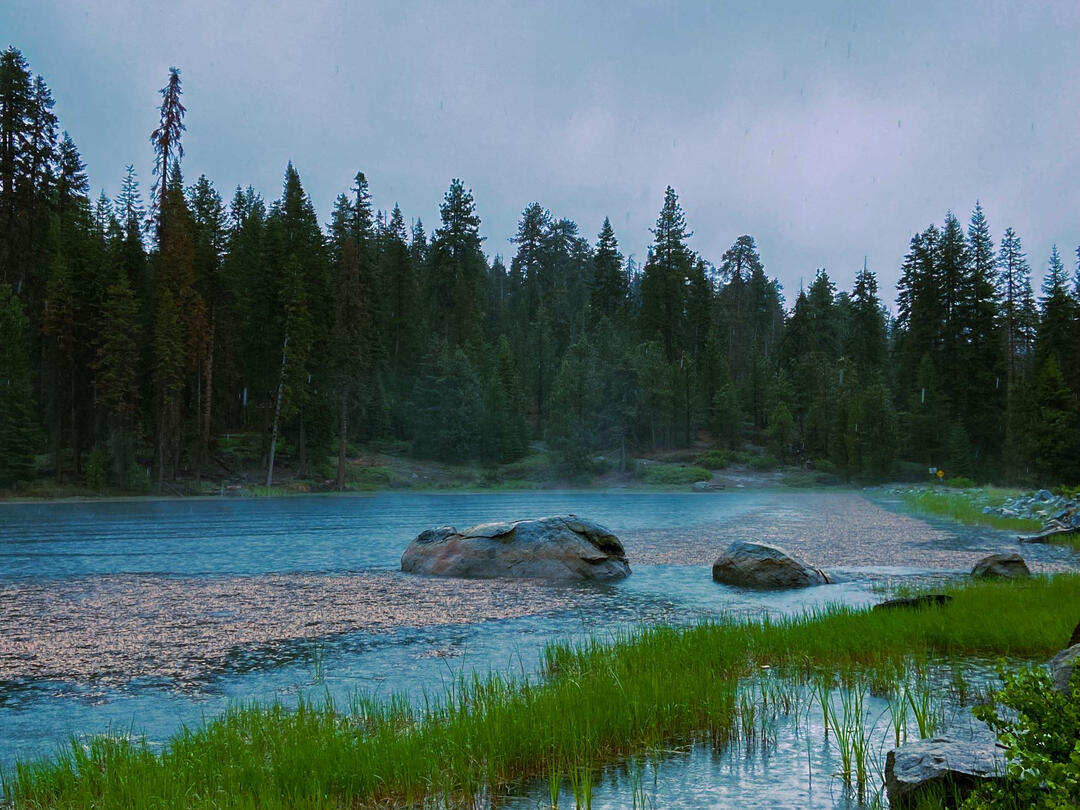 Rainy Homavalo